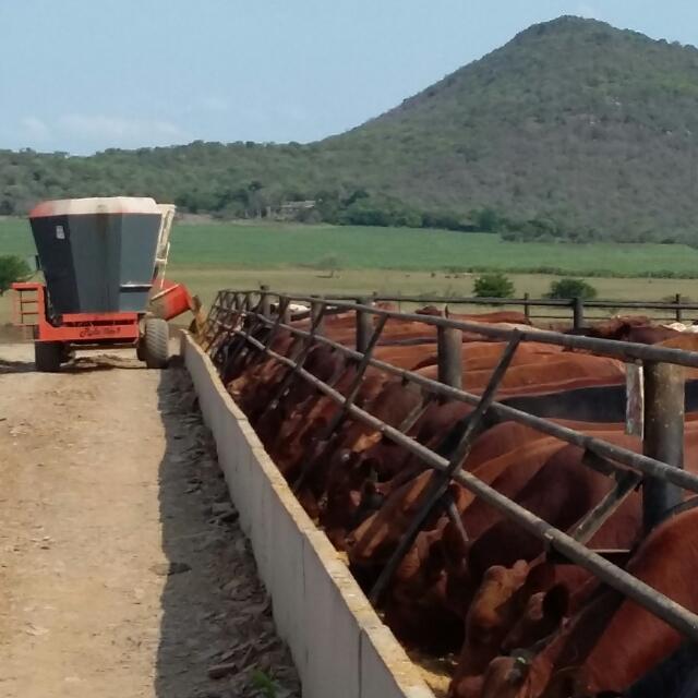 Rolovoermengers equipment in action next to a cattle kraal